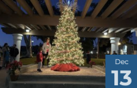 Holiday Tree Lighting at La Colonia