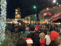 Dazzling Holiday Light Show & Snowfall