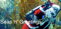 Seas ’n’ Greetings at the Birch Aquarium