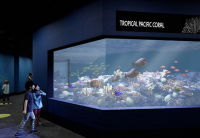 Living Seas at Birch Aquarium