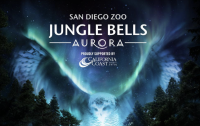 Jungle Bells