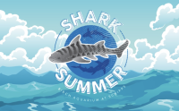Shark Summer at Birch Aquarium