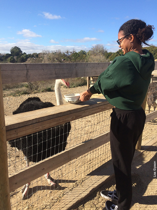 ostrich farm 2170