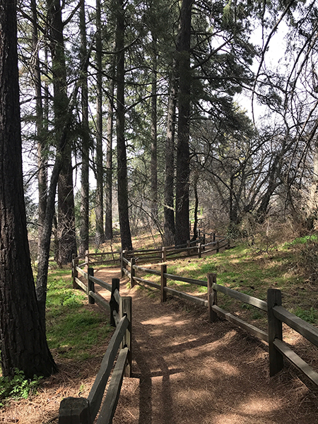 oak glen hiking path 1677