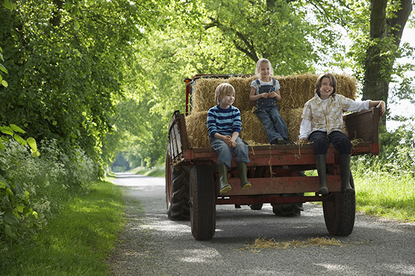 hayride 