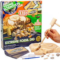 The Young Scientists Club Extreme Fossil Dig with Components