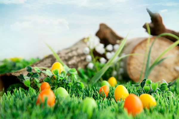 Easter Egg Hunts & Festivities in San Diego 2024