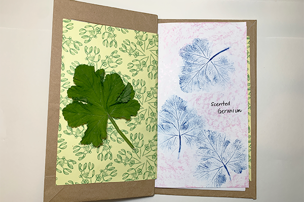 Creating A Watercolour Nature Journal Page ~ A Tutorial