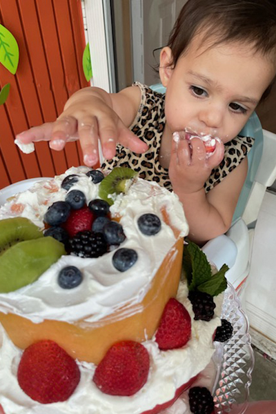 fruit cake 2520