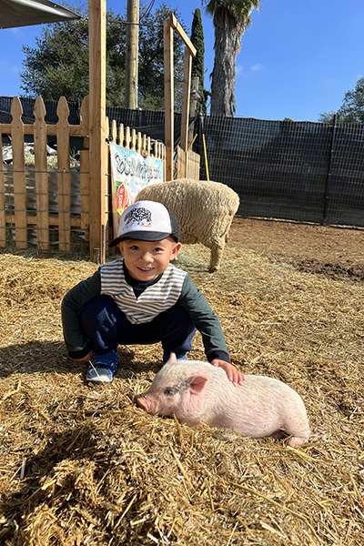 Where to Visit Farm Animals in San Diego