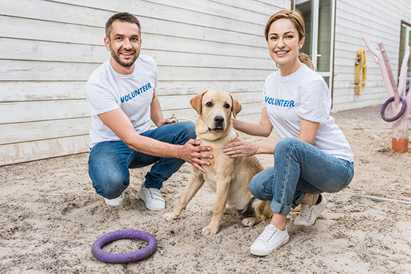 smiling volunteers of animals shelter squatting an 2021 08 31 22 00 59 utc