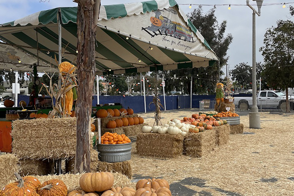 Pumpkin Patches in San Diego County 2023