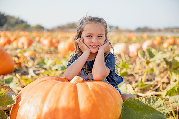 Carlsbad pumpkin patch 1225 for web