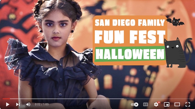 SDFFH 2023 Video cover