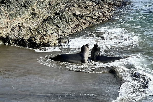 San Simeon