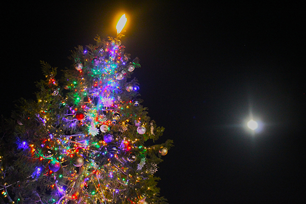 Julian Christmas Tree Lighting