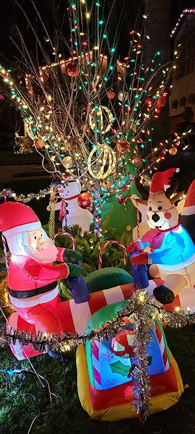 6646 Elegant Tern Place Carlsbad 