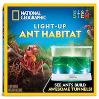 NGANTHAB AMZ 01