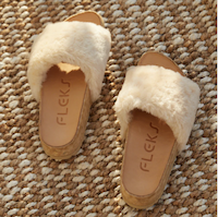 fleks2