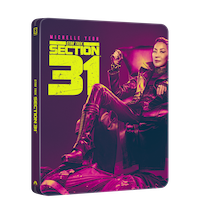section31