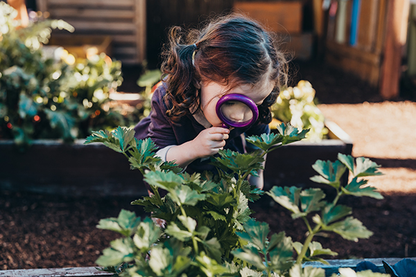Staying “in the Loupe”: How to Inspire Young Scientists at Home