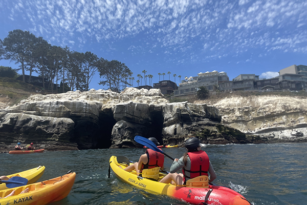 LaJollaKayakTour Ashley Marlow