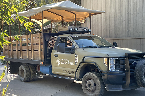 SafariParkTruck Adrienne
