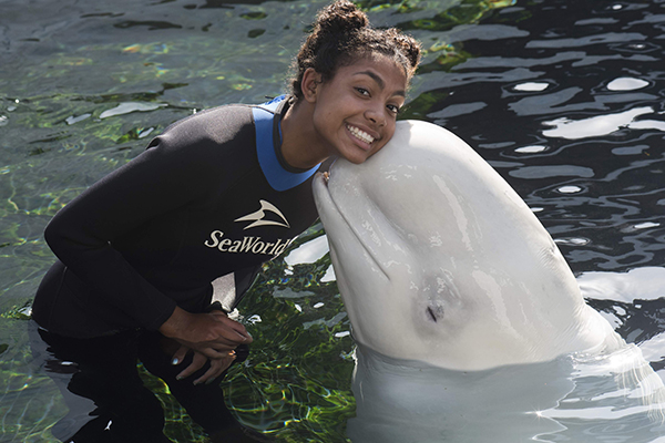 Seaworld