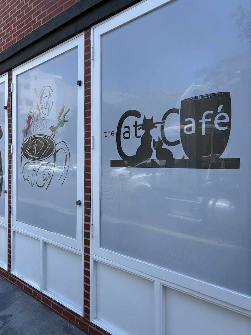 Cat Cafe
