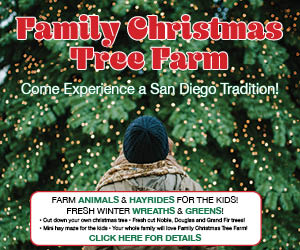 Family Christmas Tree Farm