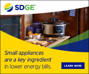 2025 - SDGE