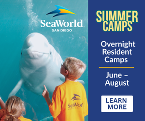 2026 - SeaWorld 1