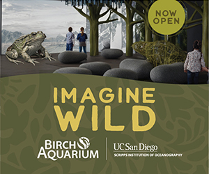 2026 - Birch Aquarium