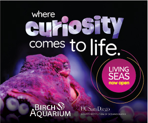 2025 - Birch Aquarium