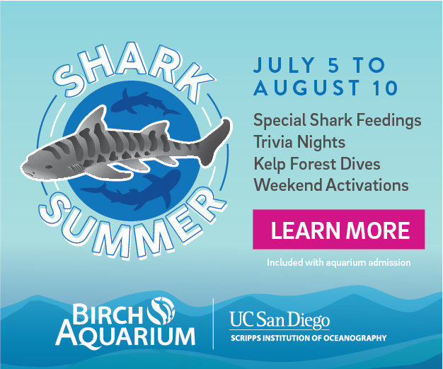 2025 - Birch Aquarium
