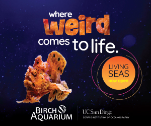 2025 - Birch Aquarium