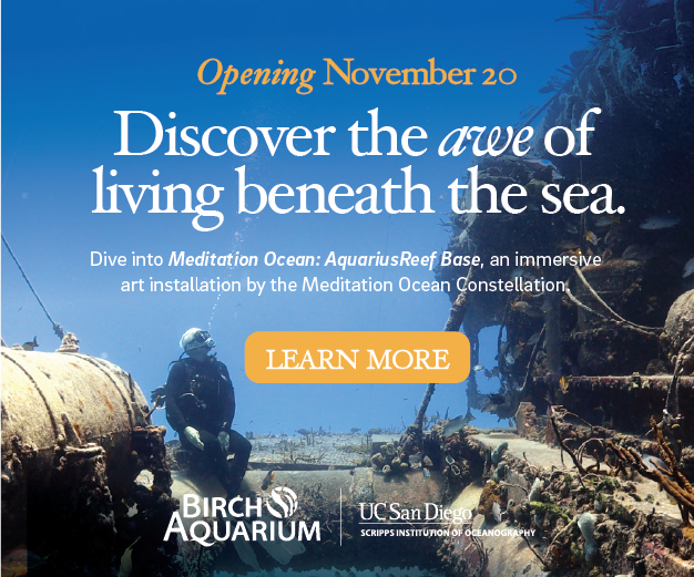 2025 - Birch Aquarium