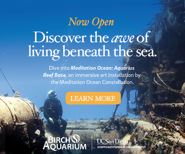 2025 - Birch Aquarium