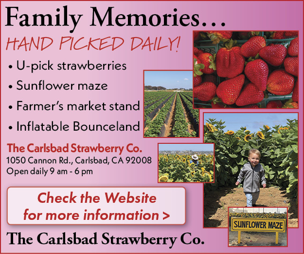 Carlsbad Strawberry Company
