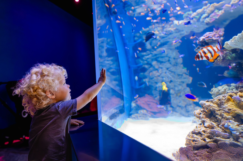 Birch Aquarium at Scripps | Photo: Jordann Tomasek