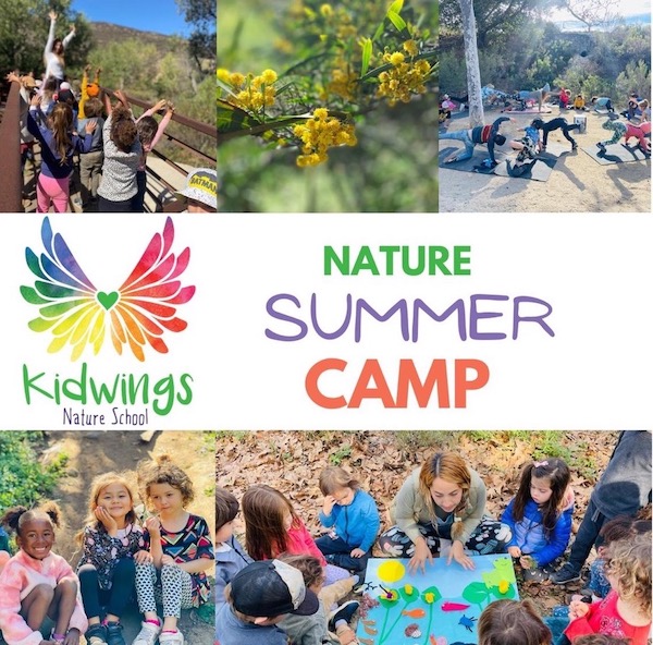 Kidswings Nature Camp