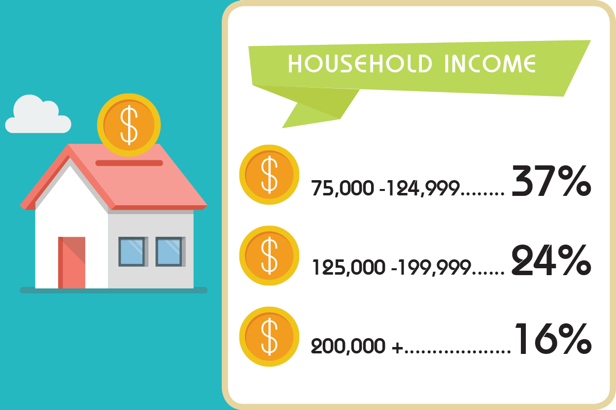 infografic demographic Income