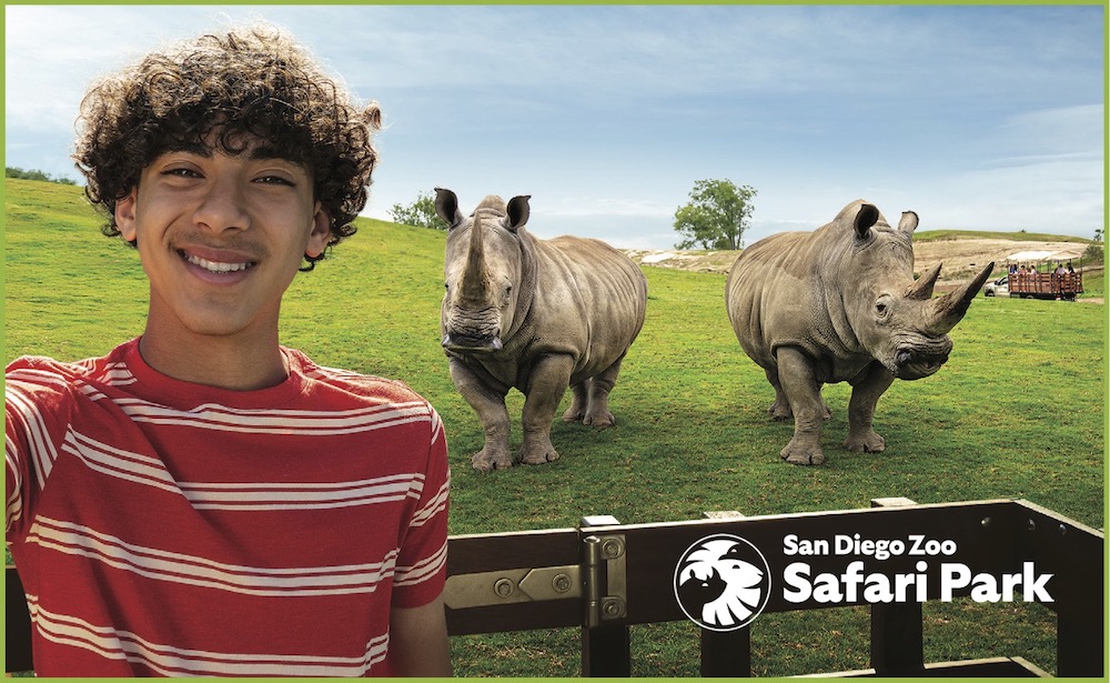boy with rhinos and logo copy