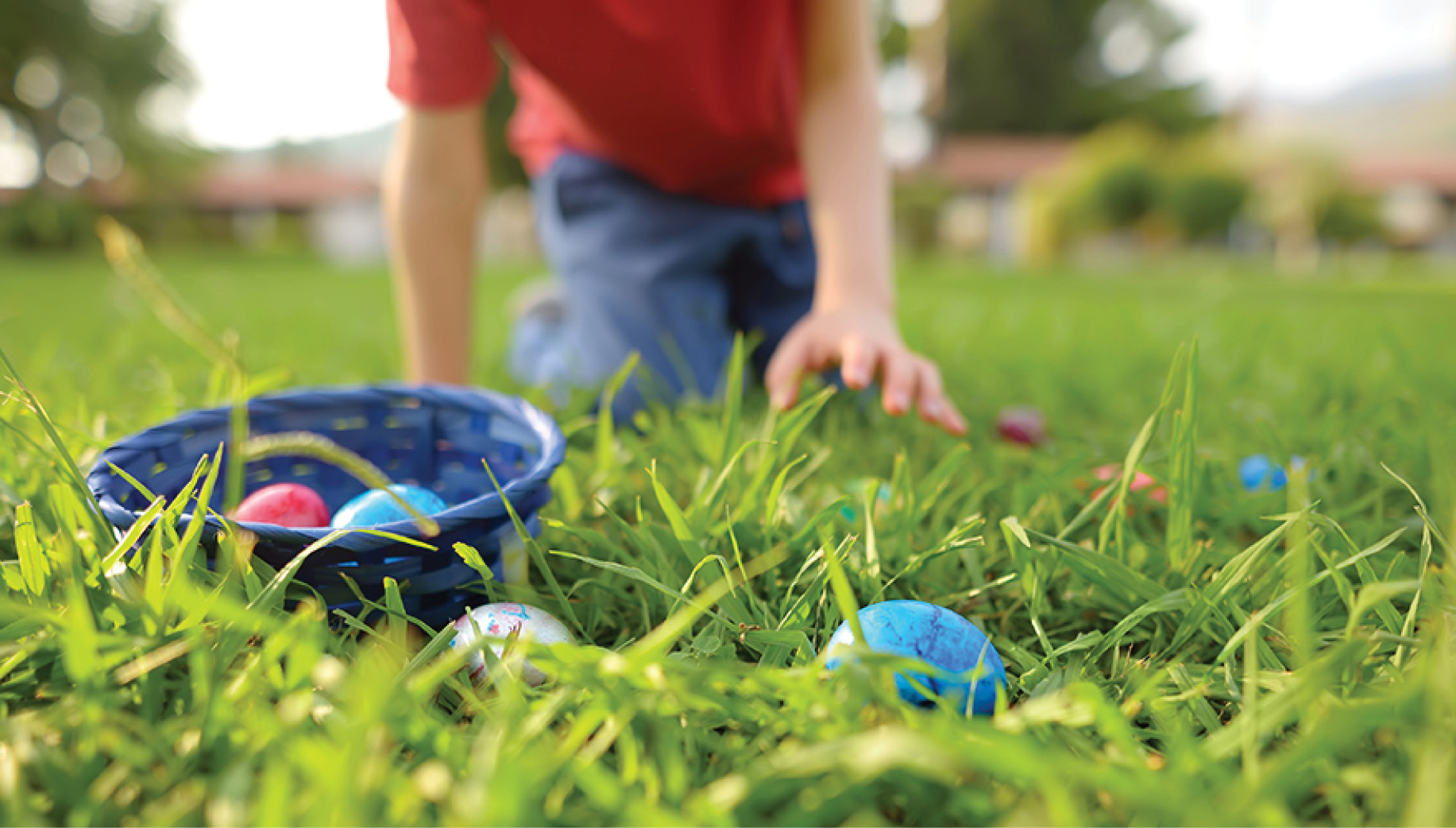 Egg Hunts