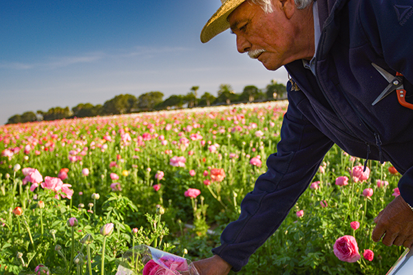 Earth Day is April 22, 2014, but celebrate it all month long with these activities!