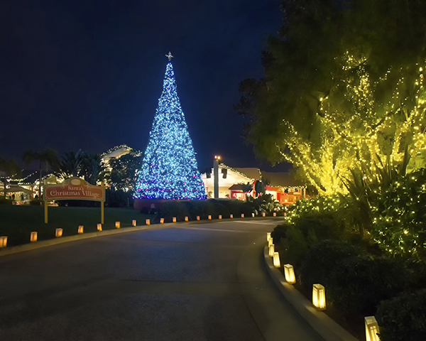 seaworld Christmas Lights