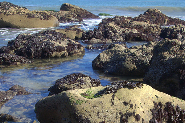 Tide Chart Cardiff Ca