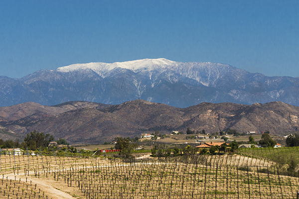 Come visit beautiful Temecula Valley on a weekend family day-trip.