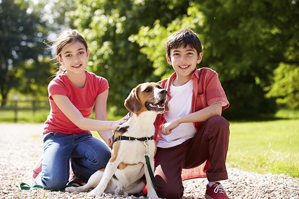 Pet sitting s another way that kids can earn extra money.