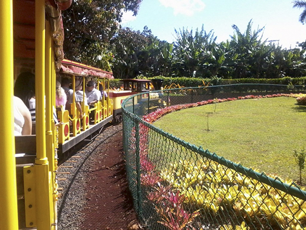 The Dole Plantation in Hawaii